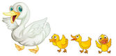 depositphotos 11580371 stock illustration ducks