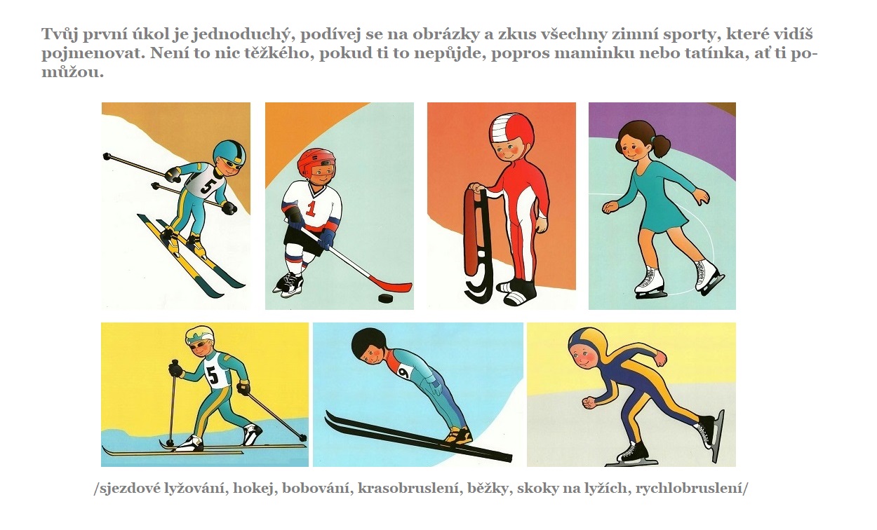 zimni sporty1