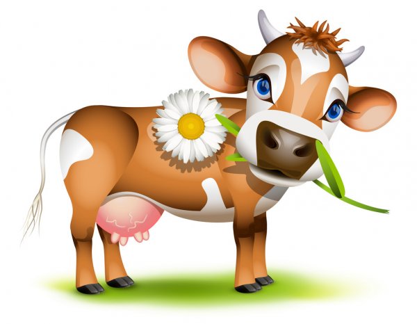 depositphotos 13314780 stock illustration little jersey cow eating daisy